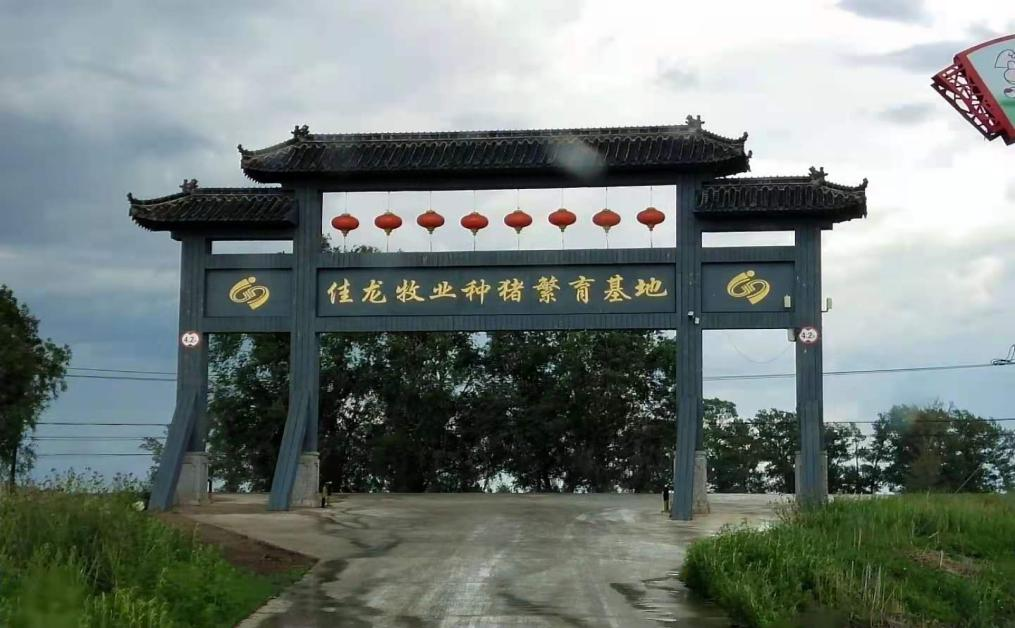 長春市佳龍牧業有限責任公司“6.15”較大中毒和窒息事故調查報告