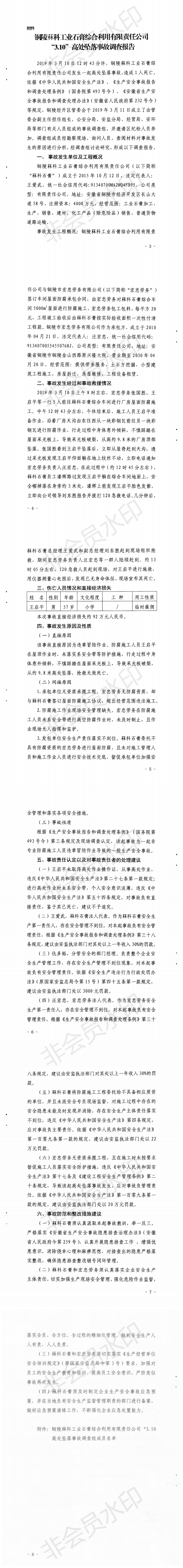銅陵菻科工業石膏綜合利用有限責任公司“3.10”高處墜落事故調查報告