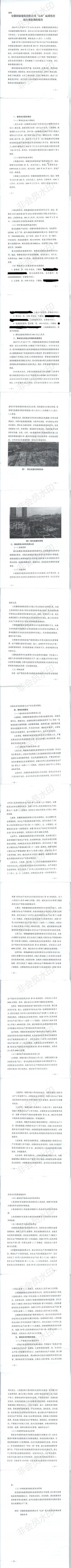 安徽國泰建筑有限公司“2.26”起重傷害較大事故調查報告