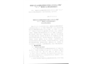 銅陵有色金屬集團股份有限公司冬瓜山銅礦“3.1”物體打擊事故調查報告