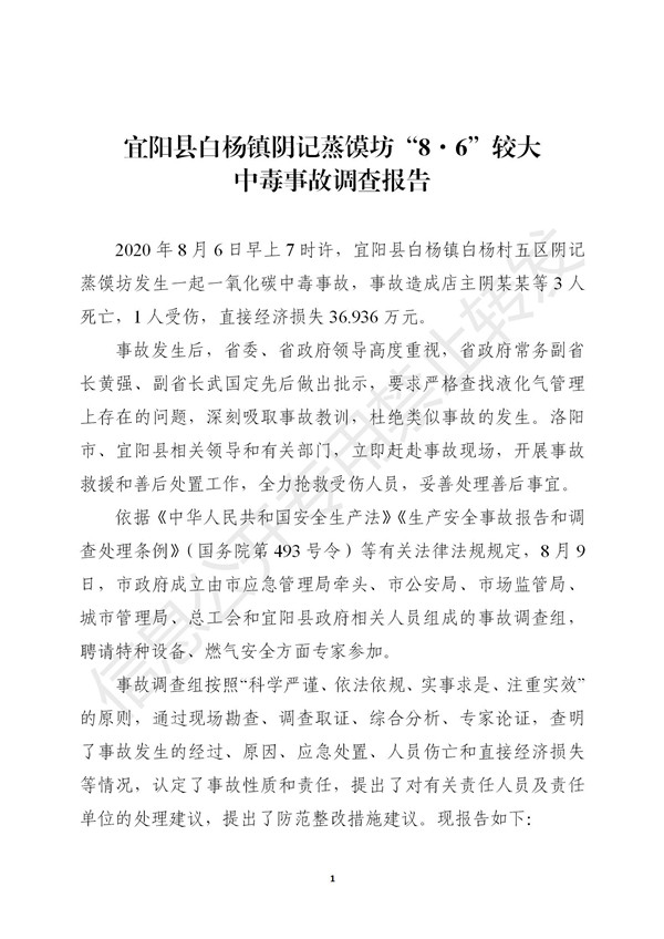 宜陽(yáng)縣白楊鎮(zhèn)陰記蒸饃坊“8·6”較大中毒事故調(diào)查報(bào)告