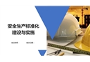安全標準化建設與實施