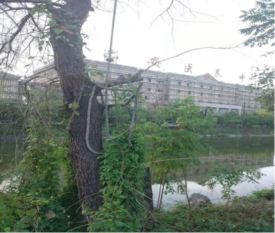 六安市金安區(qū)木廠鎮(zhèn)“2021·7·25”溺亡事故調(diào)查報告