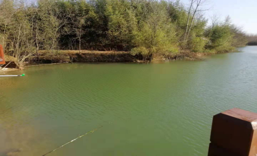 金安區望城街道苗圃基地“2020·11·20”溺亡事故調查報告