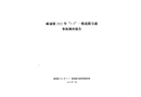 麻涌鎮2022年“1.3”一般道路交通事故調查報告