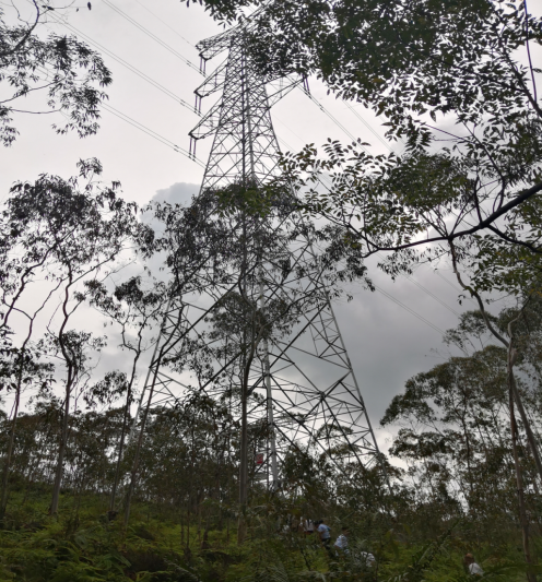陽西縣程村鎮“8·18”高壓線塔高處墜落一般事故調查報告