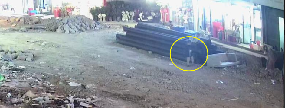 蒼南縣靈溪鎮(zhèn)城區(qū)河濱路（金鄉(xiāng)路至東倉路段）易澇點整治工程“8·1”一般淹溺事故調(diào)查報告