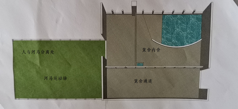 廈門靈玲國際馬戲城“10·9”死亡事故調查報告