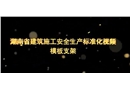 建筑施工安全生產標準化系列視頻教程-模板支撐架