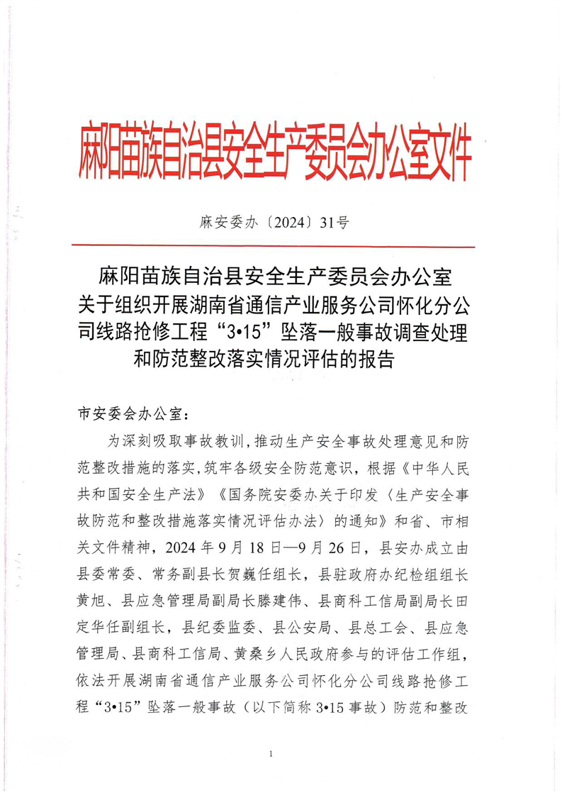 關于組織開展湖南省通信產業服務公司懷化分公司線路搶修工程“3·15”墜落一般事故調查處理和防范整改落實情況評估的報告