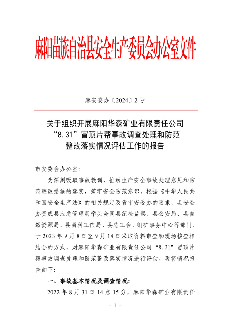 麻陽華森礦業有限責任公司“8.31”冒頂片幫事故調查評估報告