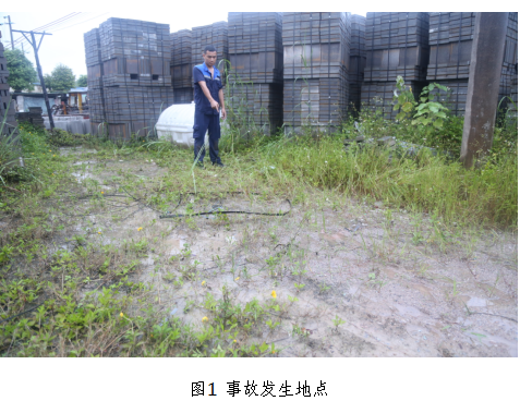 四川森朗通信網絡工程建設有限公司柳州分公司“6·14”觸電一般事故調查報告