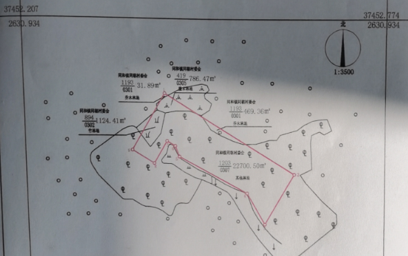 貴港平南縣康世達(dá)生豬養(yǎng)殖有限公司“1·16”較大坍塌事故調(diào)查報告