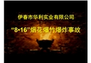 伊春市華利實業有限公司“8?16”煙花爆竹爆炸事故