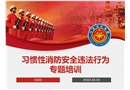 習(xí)慣性消防安全違法行為專(zhuān)題培訓(xùn)