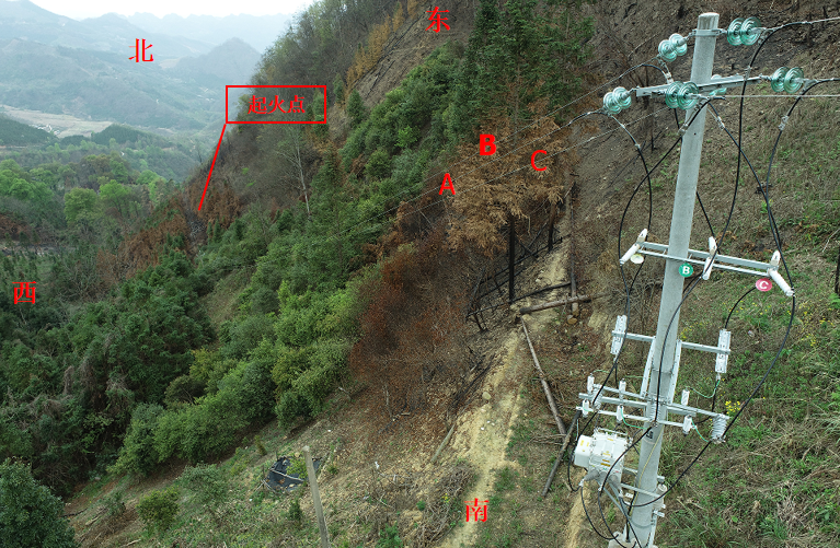 樂(lè)業(yè)縣幼平鄉(xiāng)達(dá)心村“2·21”森林火災(zāi)調(diào)查報(bào)告