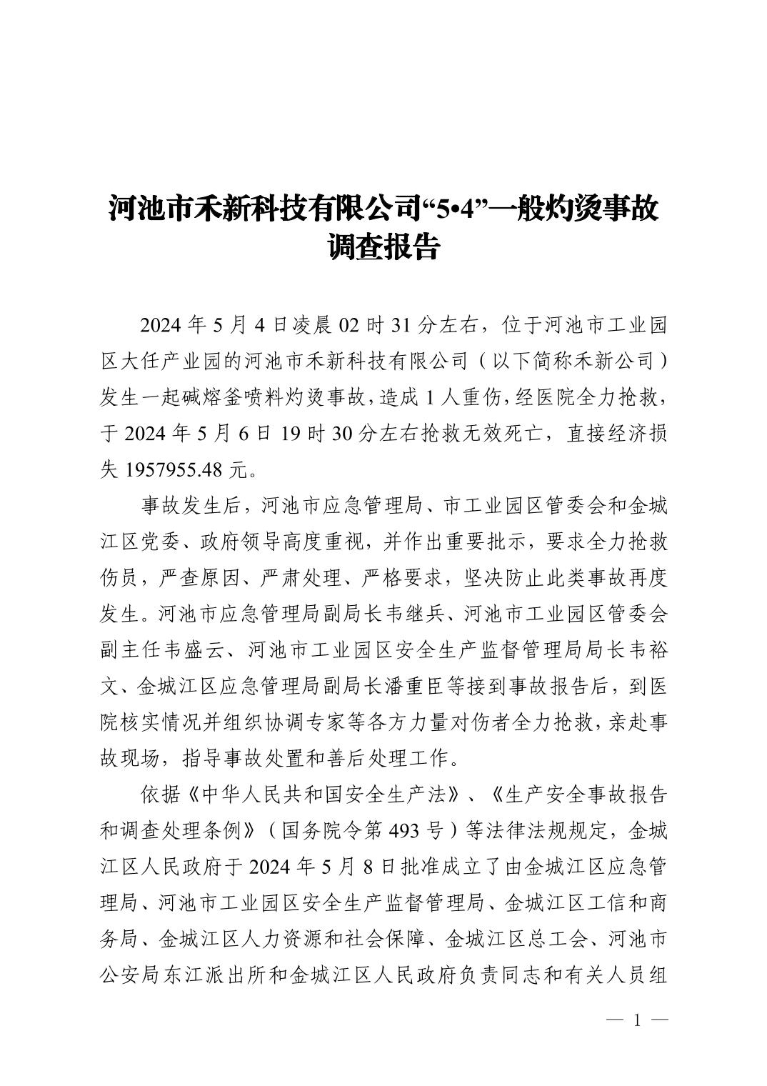 河池市禾新科技有限公司“5.4”一般灼燙事故調(diào)查報告