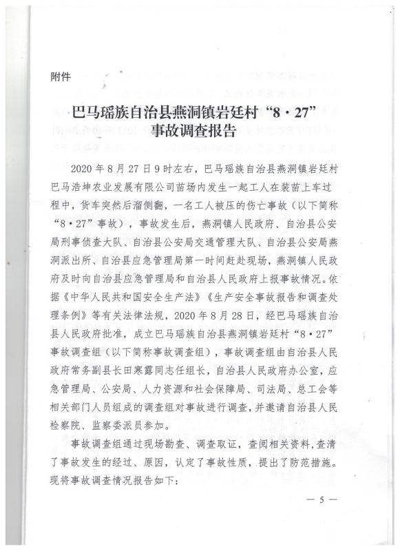 巴馬瑤族自治縣燕洞鎮(zhèn)巖廷村“8·27”事故調(diào)查報(bào)告