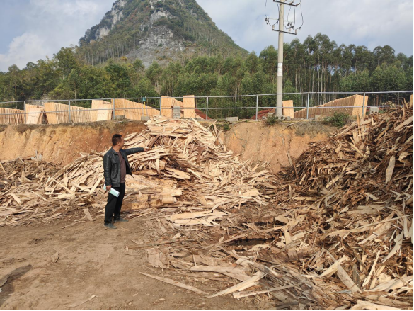 興賓良江來賓市興賓區齊峰木材有限責任公司“11·7”物體打擊事故調查報告