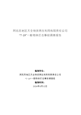 阿克蘇地區天全物資再生利用有限責任公司“7·19”一般物體打擊事故調查報告