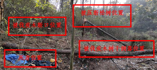 重慶榮昌區廣順街道逸軒木業加工廠“3?23”一般物體打擊事故調查報告