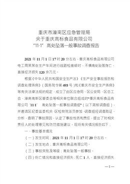 重慶高標食品有限公司“11·1”高處墜落一般事故調查報告