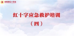 應急救護培訓 第四課 常見疾病和意外傷害的救護