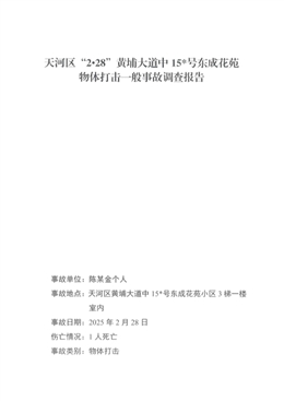 天河區“2·28”黃埔大道中153號東成花苑物體打擊一般事故調查報告