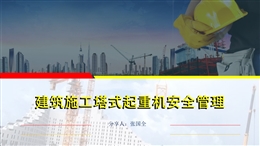 建筑施工塔式起重機(jī)安全管理培訓(xùn)