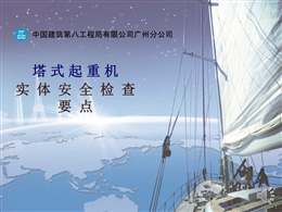 塔式起重機(jī)實(shí)體安全檢查要點(diǎn)