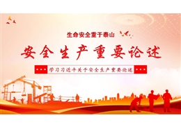 2025版習近平總書記安全生產重要論述學習