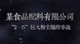 某食品配料有限公司“2·15”較大粉塵爆炸事故