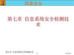 信息系統安全檢測技術
