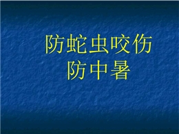 夏季防中暑防蛇蟲咬傷專題培訓